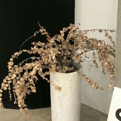 琼中福瑞交流群